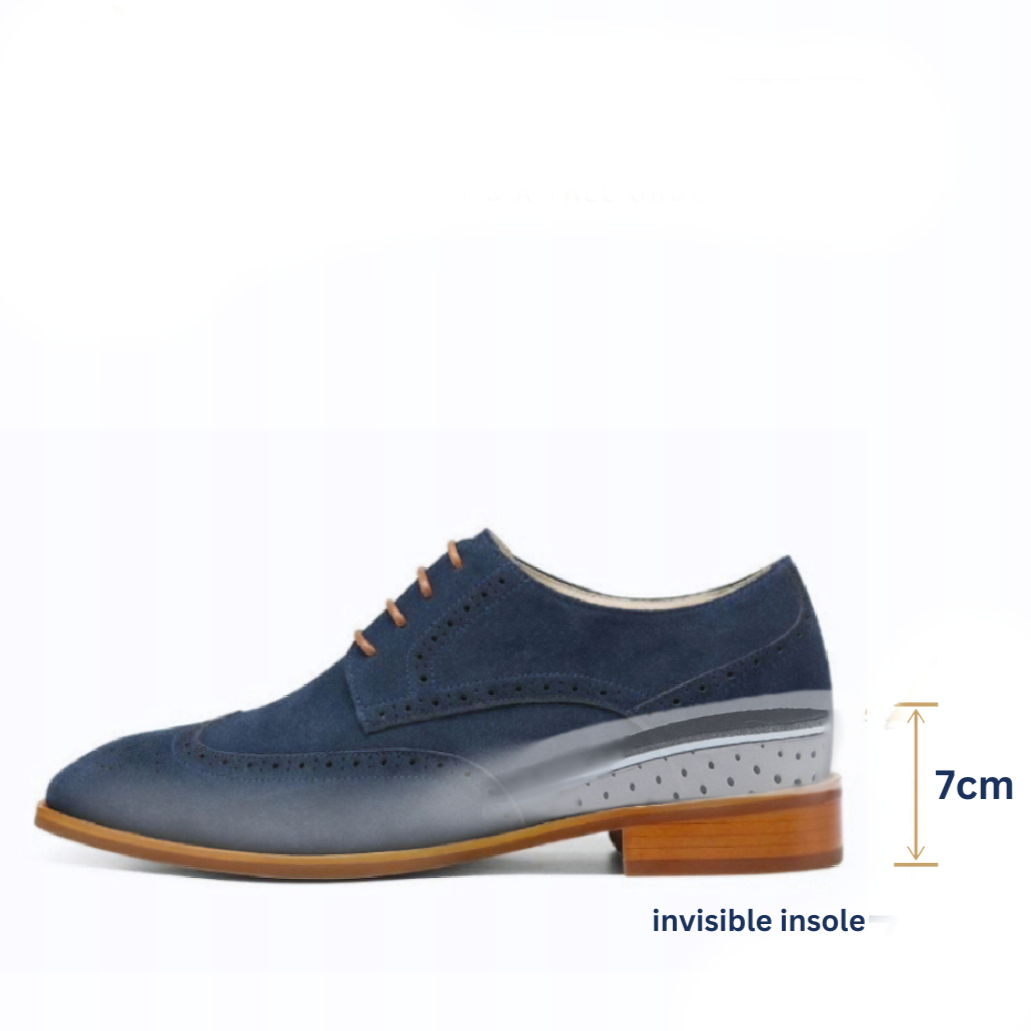 Volo Alte Amoratado Height Increasing Suede Shoes